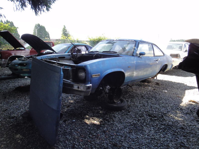 Illustration for article titled PNW Junkyard visit